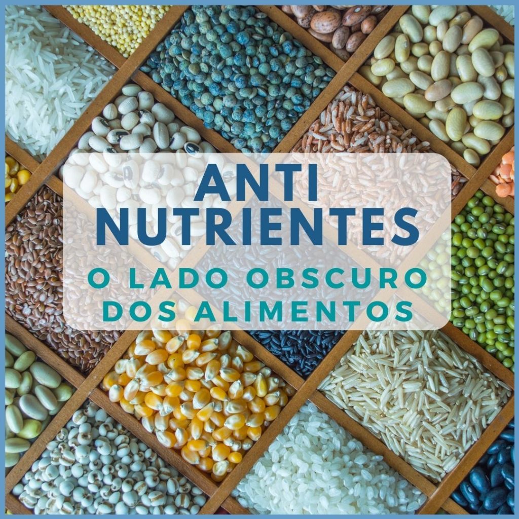 Antinutrientes - Miguel Figueiredo