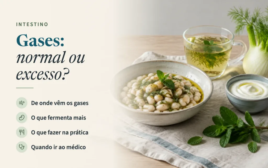 Capa do artigo sobre gases intestinais: normal ou excesso? Feijão branco, chá de funcho e hortelã e iogurte